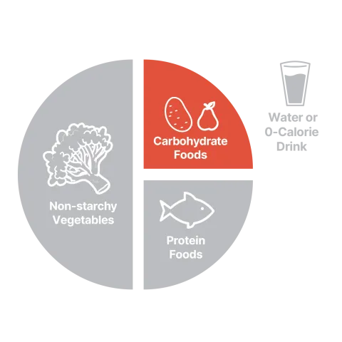 Carbohydrate foods on portion plate